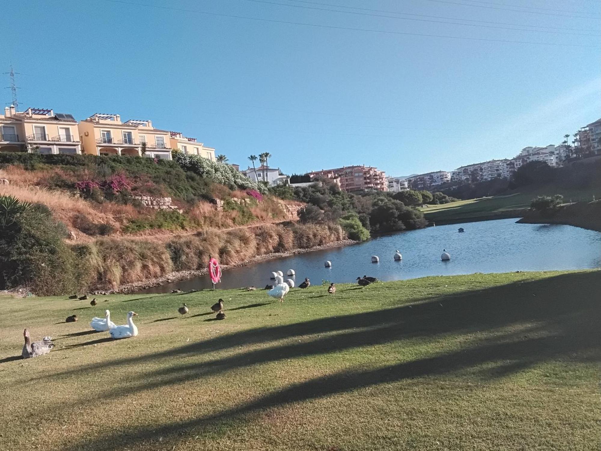 Island Of Riviera Golf Mijas Costa Apartment Malaga