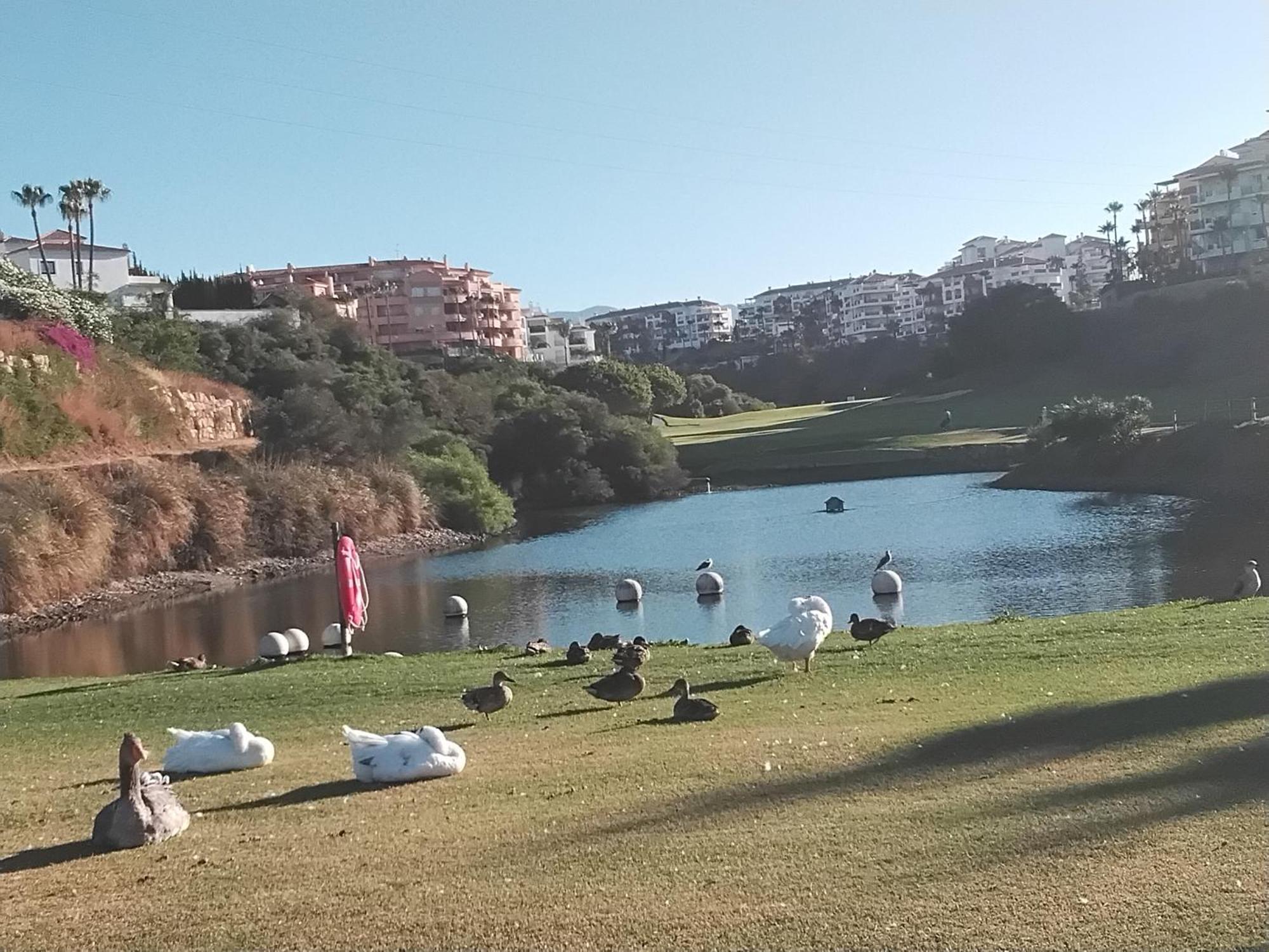 Apartment Island Of Riviera Golf Mijas Costa *